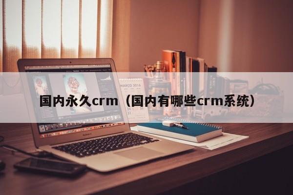 国内永久crm(国内有哪些crm系统)